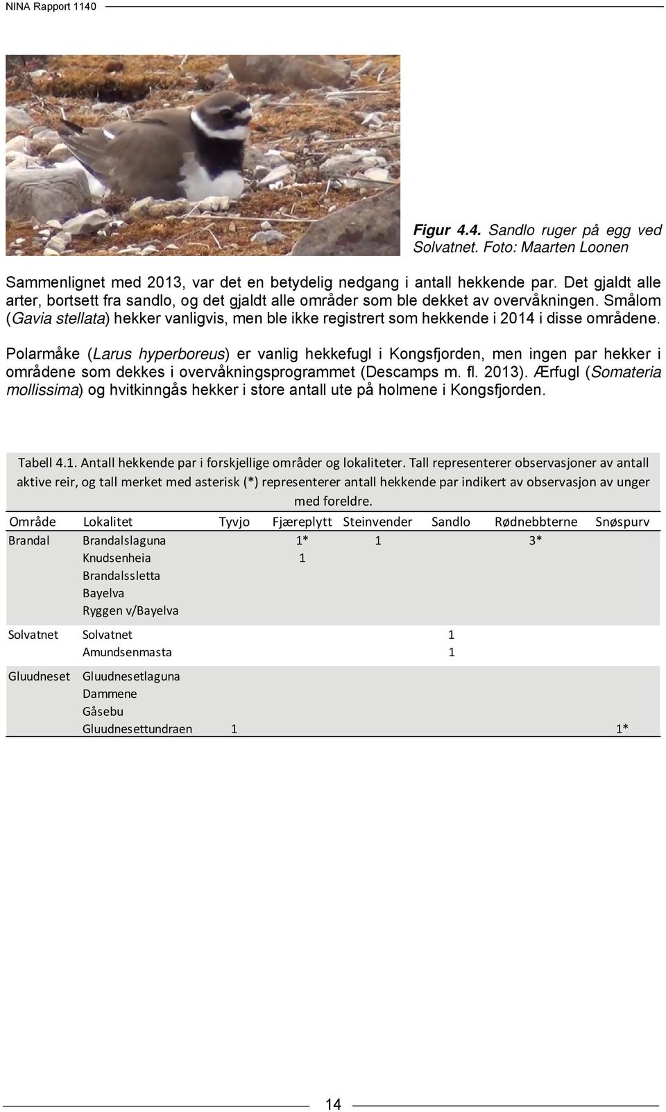 Smålom (Gavia stellata) hekker vanligvis, men ble ikke registrert som hekkende i 2014 i disse områdene.