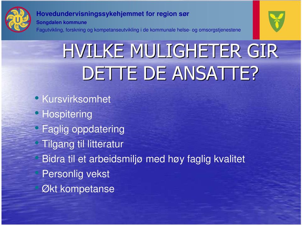 Tilgang til litteratur Bidra til et