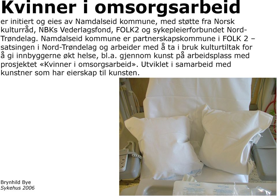Namdalseid kommune er partnerskapskommune i FOLK 2 satsingen i Nord-Trøndelag og arbeider med å ta i bruk