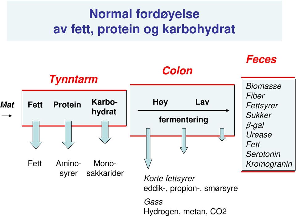 Korte fettsyrer eddik-, propion-, smørsyre Feces Biomasse Fiber