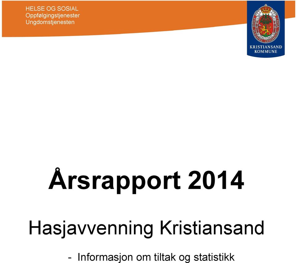 Ungdomstjenesten Årsrapport 2014