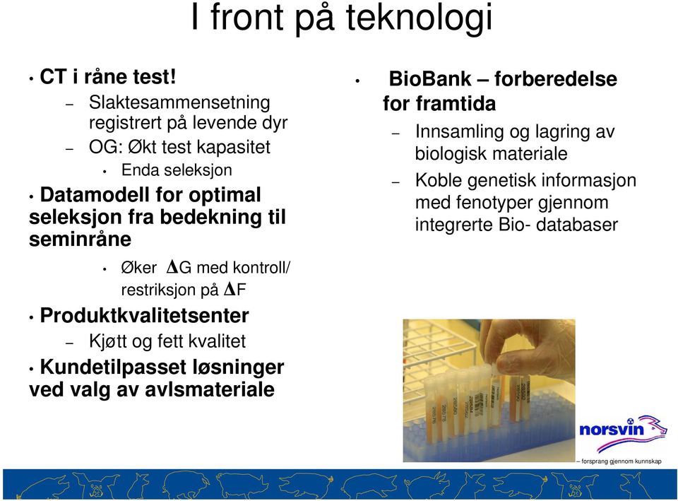 fra bedekning til seminråne Øker ΔG med kontroll/ restriksjon på ΔF Produktkvalitetsenter Kjøtt og fett kvalitet