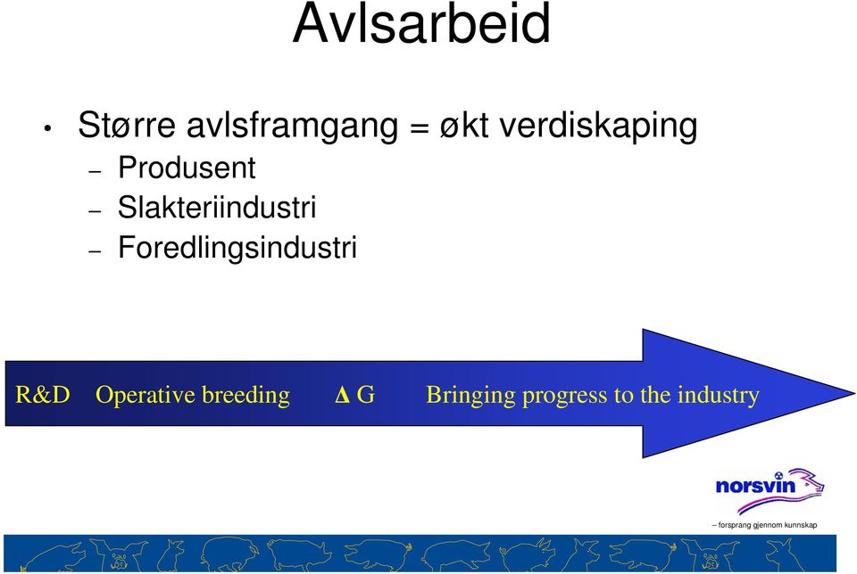 Slakteriindustri Foredlingsindustri