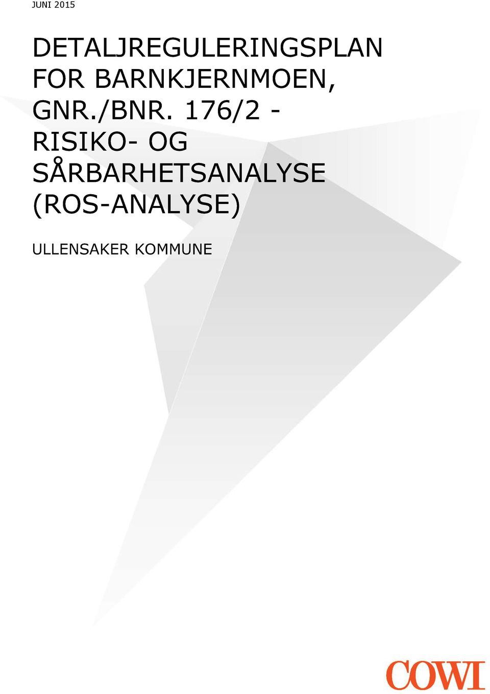 176/2 - RISIKO- OG