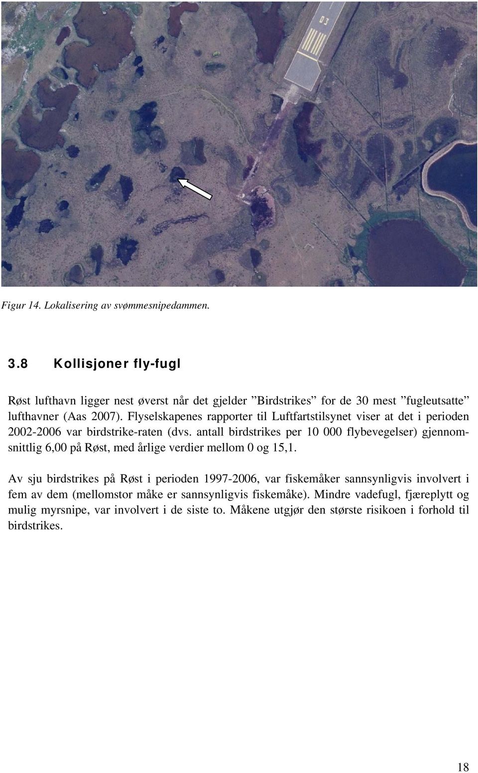 Flyselskapenes rapporter til Luftfartstilsynet viser at det i perioden 2002-2006 var birdstrike-raten (dvs.