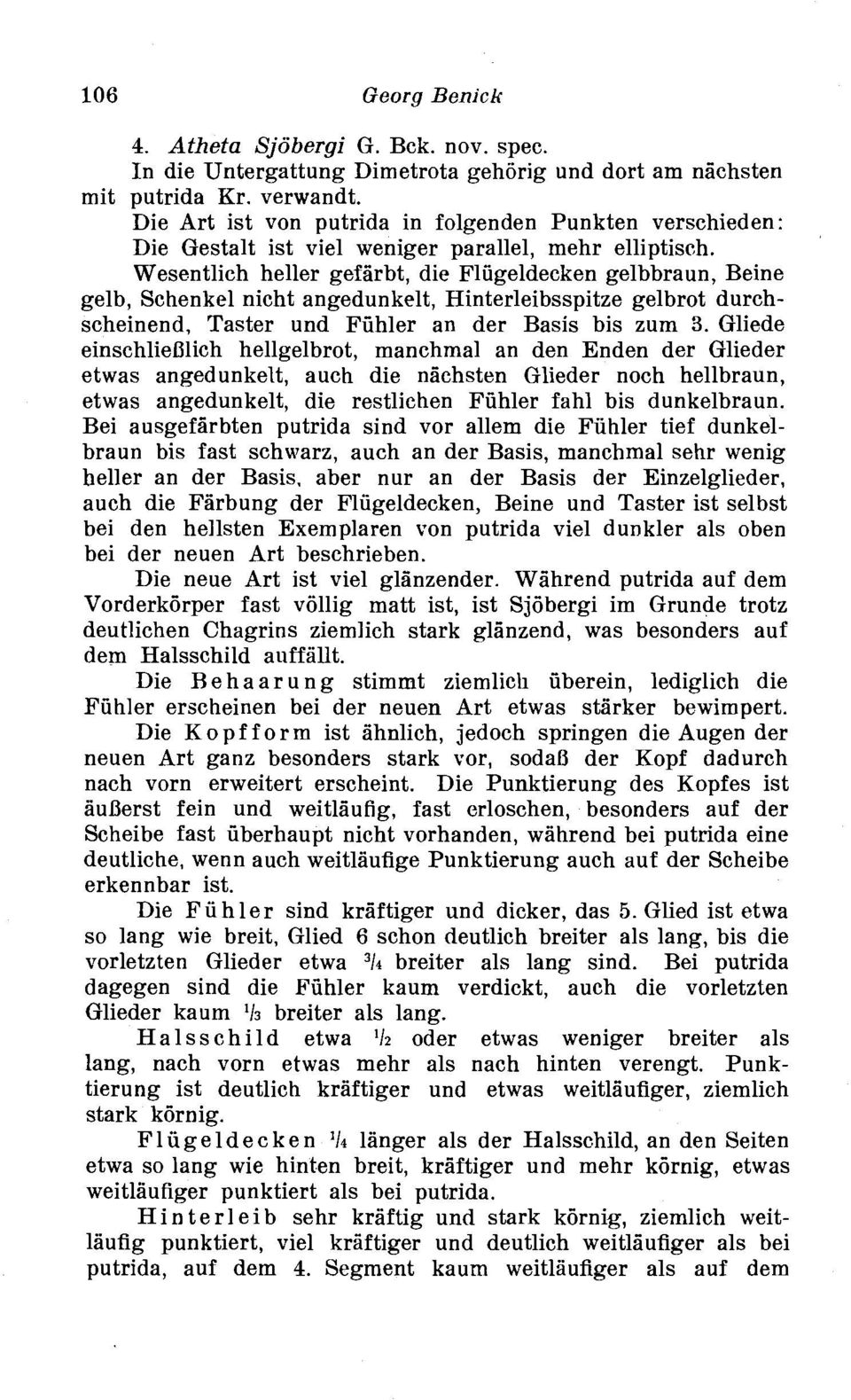 Wesentlich heller gefarbt, die Fliigeldecken gelbbraun, Beine gelb, Schenkel nicht angedunkelt, Hinterleibsspitze gelbrot durchscheinend, Taster und Fiihler an der Basis bis zum 3.