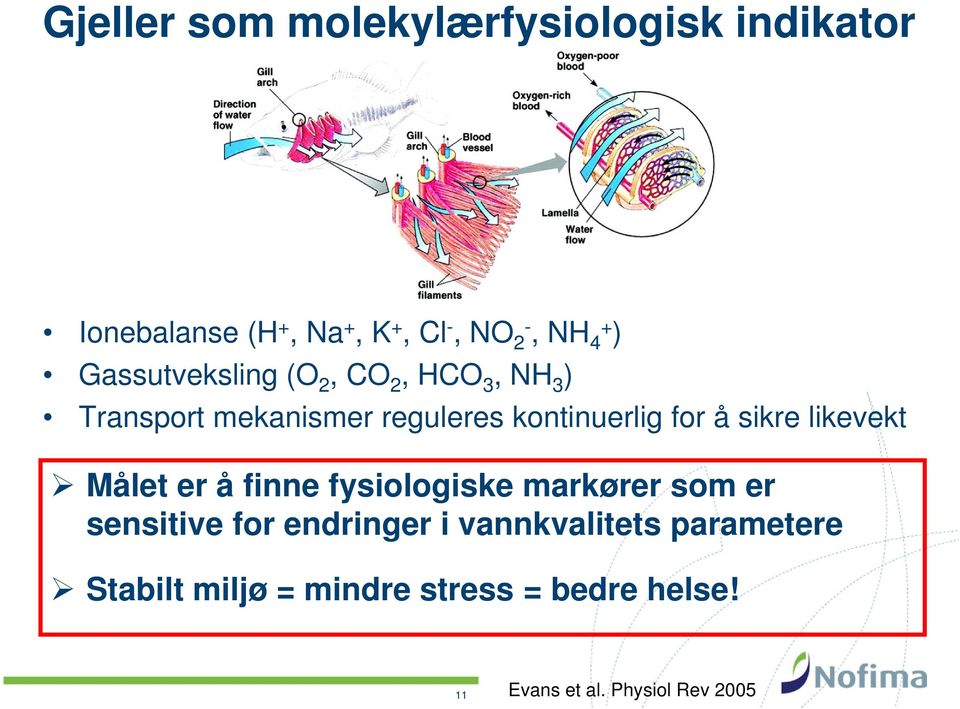 mekanismer reguleres kontinuerlig for å sikre likevekt Målet er å finne fysiologiske markører som er