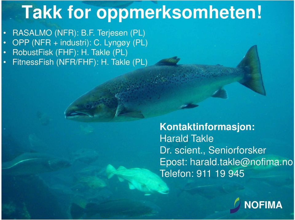 Lyngøy (PL) RobustFisk (FHF): H. Takle (PL) FitnessFish (NFR/FHF): H.