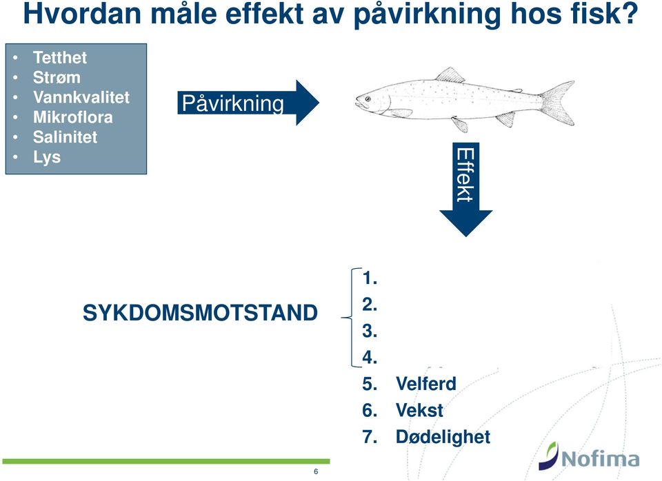 Påvirkning Effekt SYKDOMSMOTSTAND 1. Stress 2.