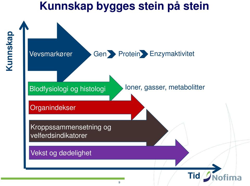 Ioner, gasser, metabolitter Organindekser