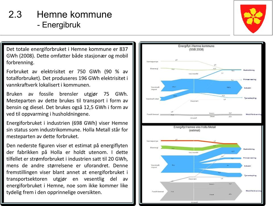 De bruesgså12,5 GWhi frm av vedil ppvarmingi hushldningene. Energifrbruei indusrien (698 GWh)viser Hemne sin saussmindusrimmune. HllaMeall sår fr meseparenav dee frbrue.