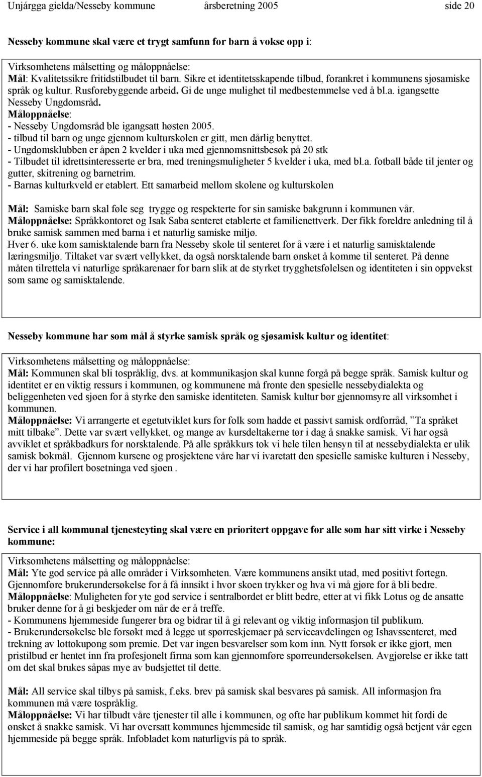 - Nesseby Ungdomsråd ble igangsatt høsten 2005. - tilbud til barn og unge gjennom kulturskolen er gitt, men dårlig benyttet.