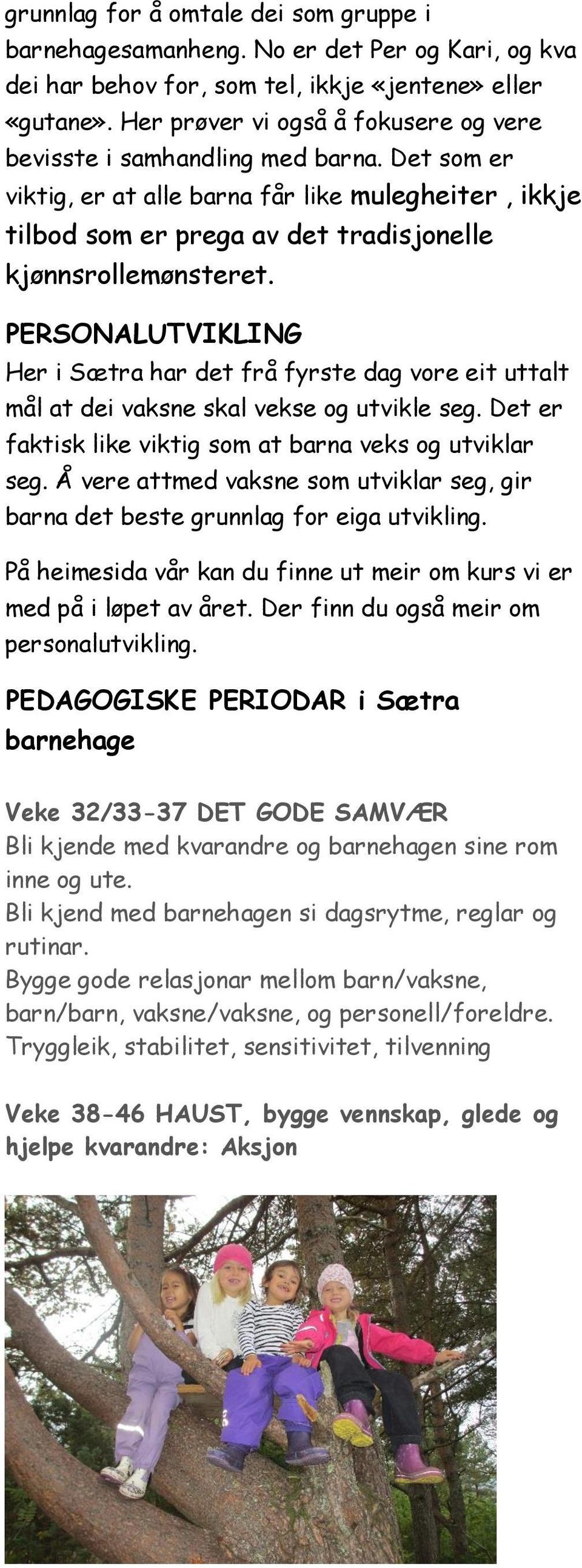 PERSONALUTVIKLING Her i Sætra har det frå fyrste dag vore eit uttalt mål at dei vaksne skal vekse og utvikle seg. Det er faktisk like viktig som at barna veks og utviklar seg.