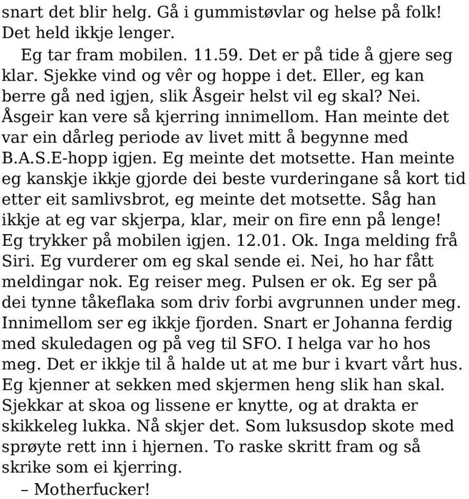 Eg meinte det motsette. Han meinte eg kanskje ikkje gjorde dei beste vurderingane så kort tid etter eit samlivsbrot, eg meinte det motsette.