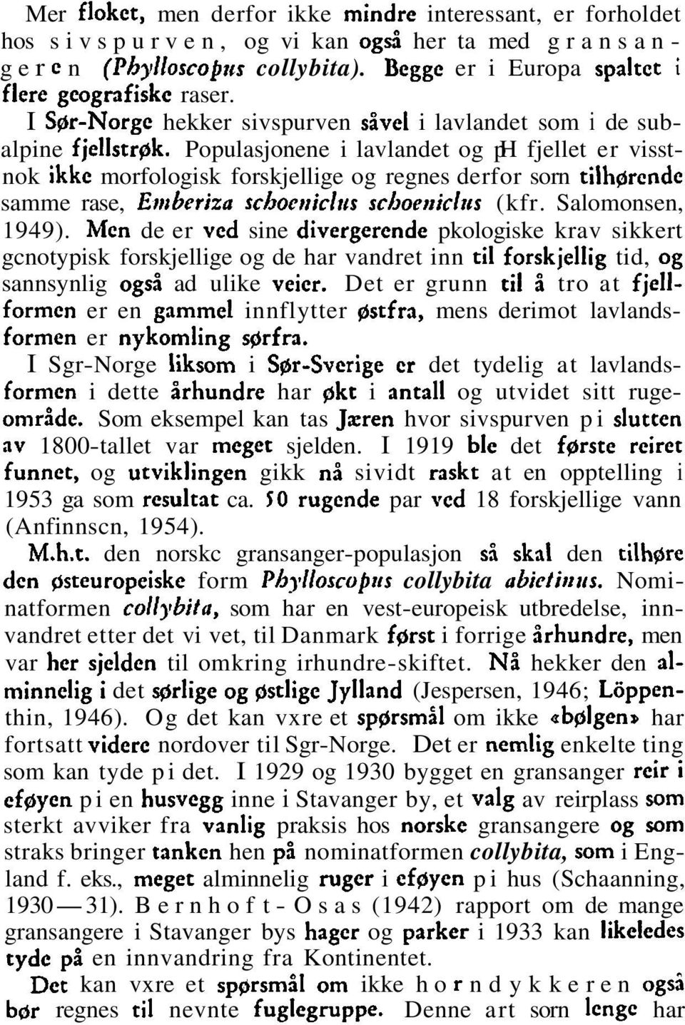 Populasjonene i lavlandet og ph fjellet er visstnok ikkc morfologisk forskjellige og regnes derfor sorn tilhgrcnde samme rase, Emberiza schocrticlrrs schoetricl~is (kfr. Salomonsen, 1949).