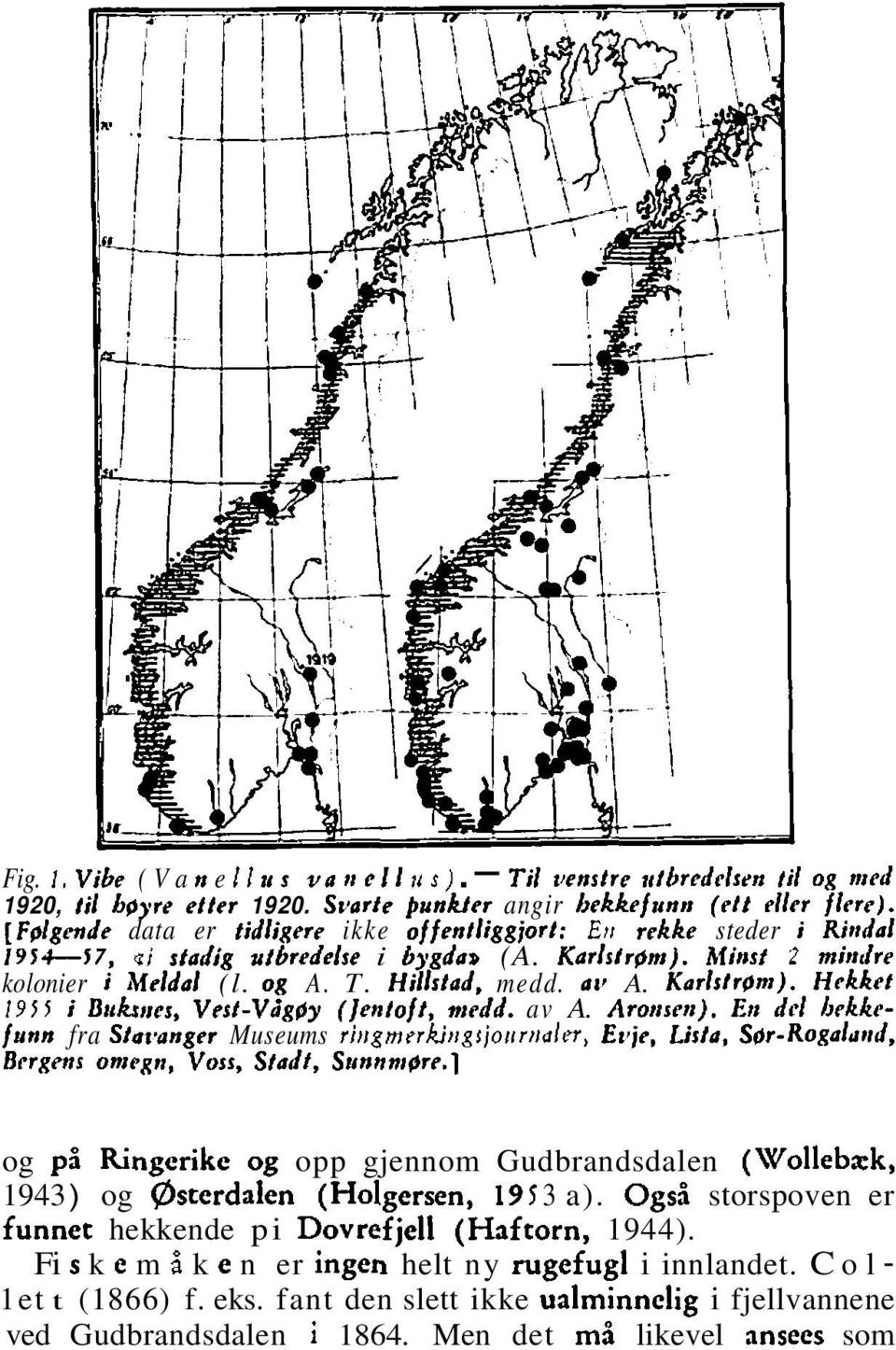 Hrkket 1911 i Brrkstres, Vest-VZg@ (]cntoft, nledd. av A. Aronsen).