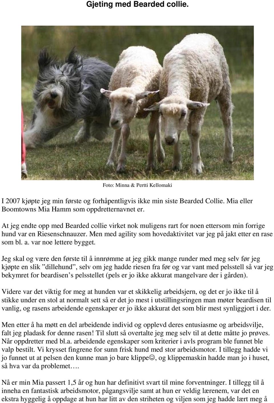 Jeg skal og være den første til å innrømme at jeg gikk mange runder med meg selv før jeg kjøpte en slik dillehund, selv om jeg hadde riesen fra før og var vant med pelsstell så var jeg bekymret for