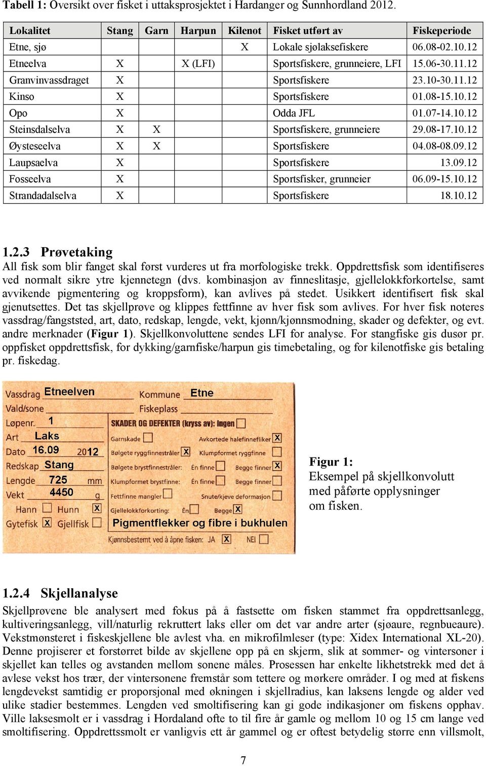 08-17.10.12 Øysteseelva X X Sportsfiskere 04.08-08.09.12 Laupsaelva X Sportsfiskere 13.09.12 Fosseelva X Sportsfisker, grunneier 06.09-15.10.12 Strandadalselva X Sportsfiskere 18.10.12 1.2.3 Prøvetaking All fisk som blir fanget skal først vurderes ut fra morfologiske trekk.