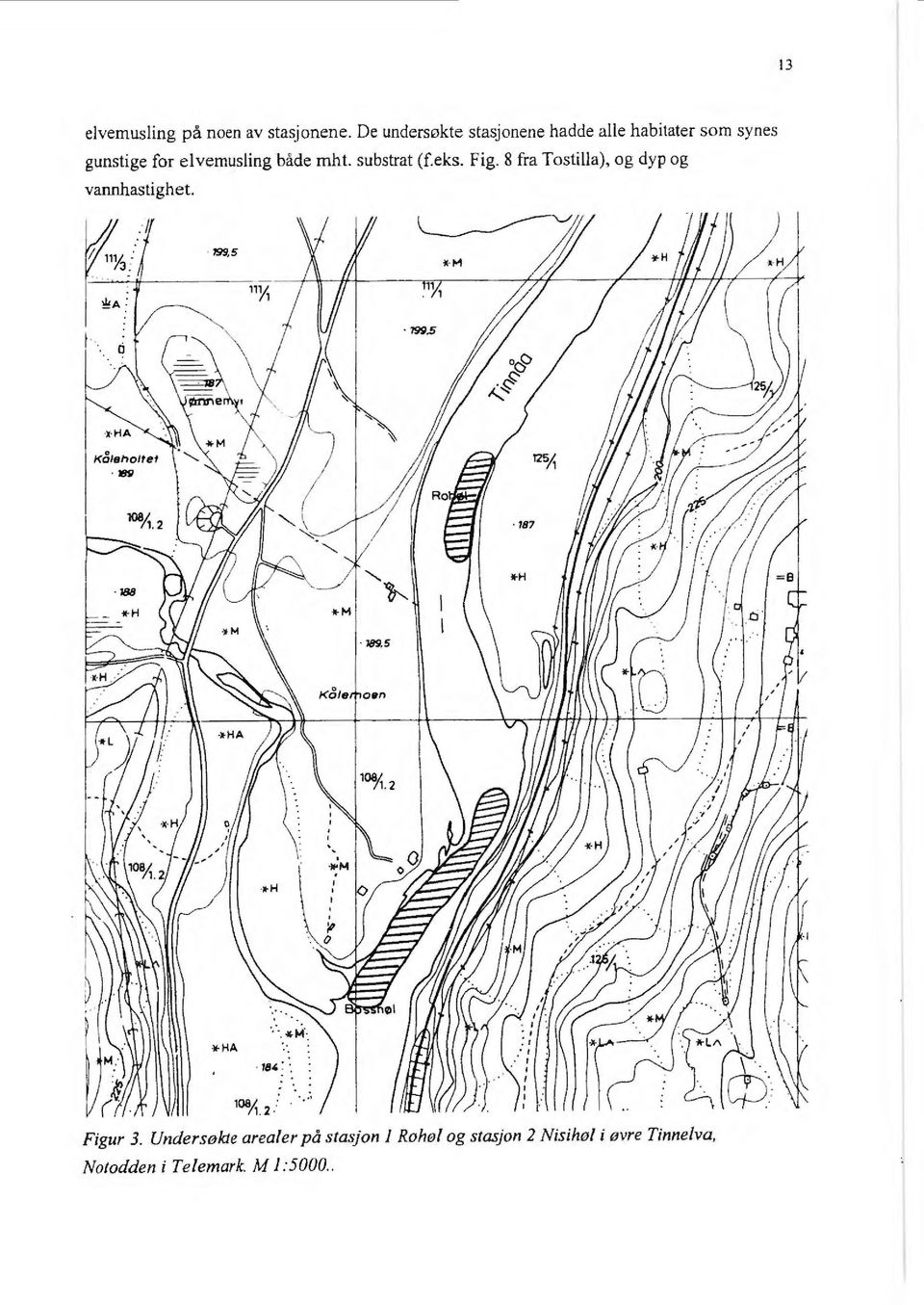 substrat (f.eks. Fig. 8 fra Tostilla), og dyp og vannhastighet. : /, 199,5 189.