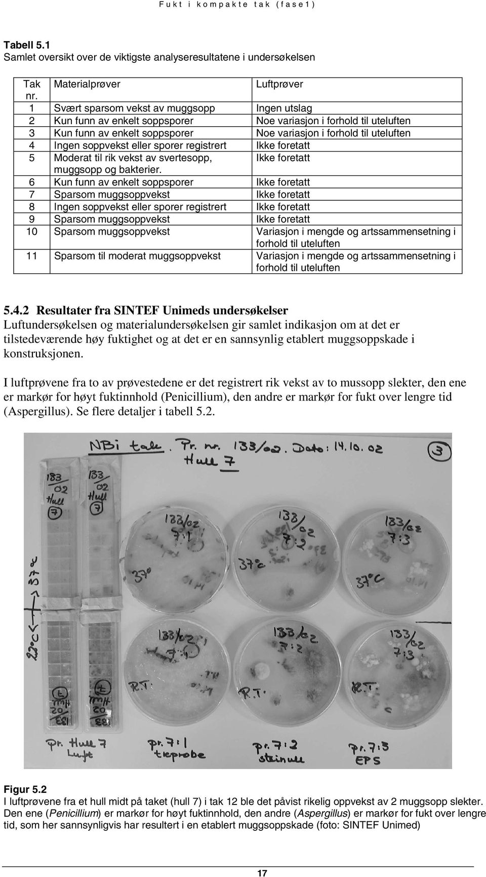 soppvekst eller sporer registrert Ikke foretatt 5 Moderat til rik vekst av svertesopp, Ikke foretatt muggsopp og bakterier.