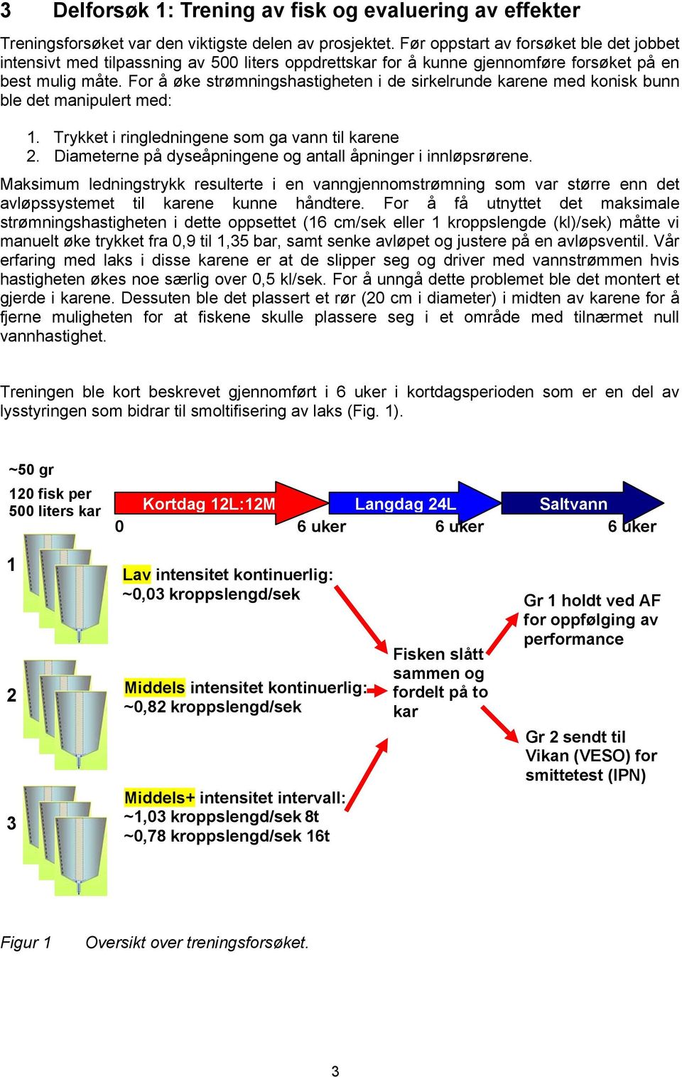 For å øke strømningshastigheten i de sirkelrunde karene med konisk bunn ble det manipulert med: 1. Trykket i ringledningene som ga vann til karene 2.