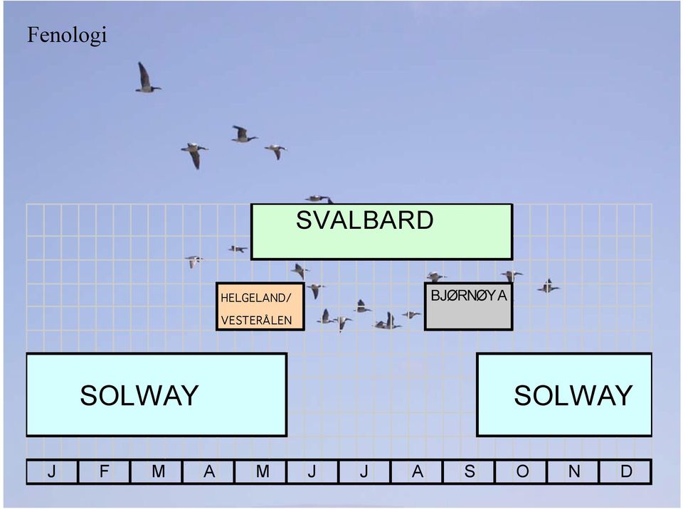 VESTERÅLEN SOLWAY