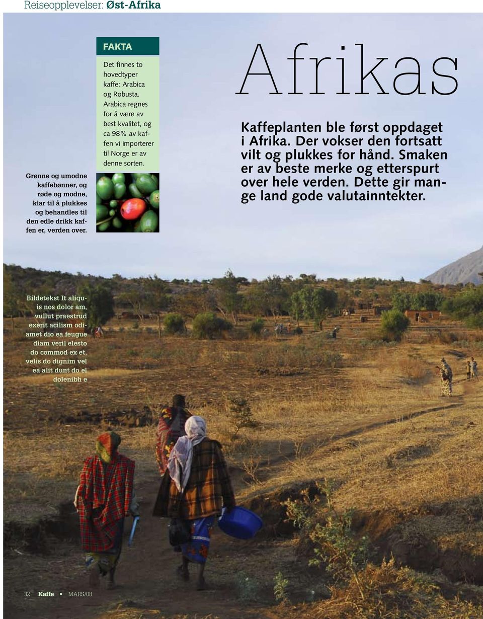 Afrikas Kaffeplanten ble først oppdaget i Afrika. Der vokser den fortsatt vilt og plukkes for hånd. Smaken er av beste merke og etterspurt over hele verden.