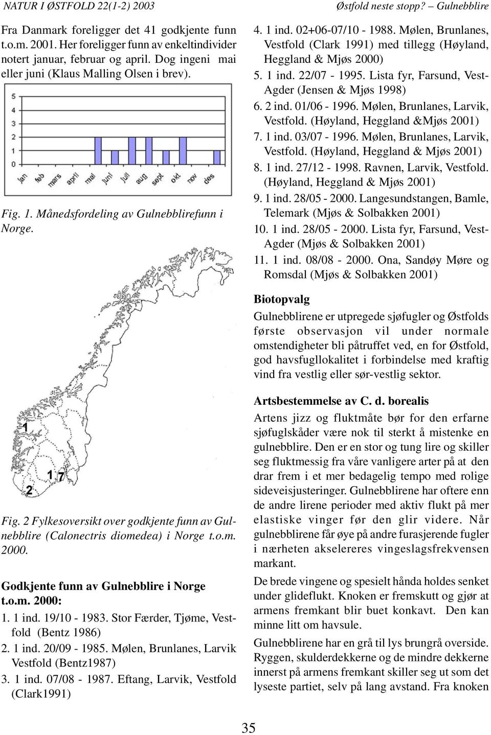 Mølen, Brunlanes, Vestfold (Clark 1991) med tillegg (Høyland, Heggland & Mjøs 2000) 5. 1 ind. 22/07-1995. Lista fyr, Farsund, Vest- Agder (Jensen & Mjøs 1998) 6. 2 ind. 01/06-1996.