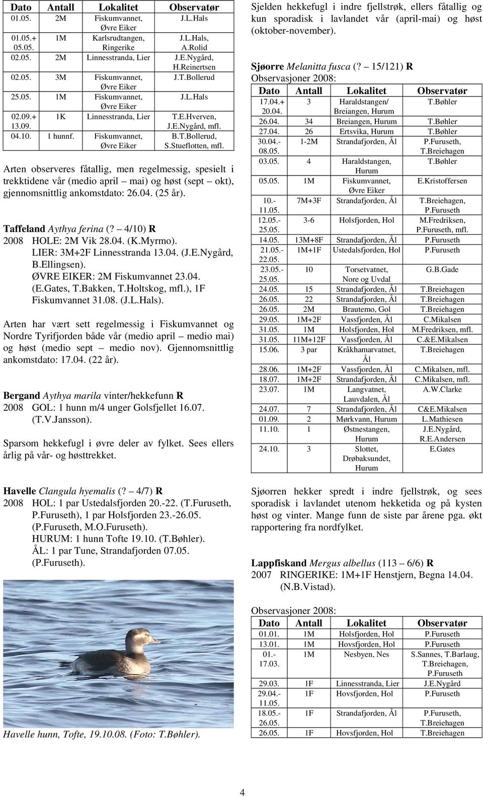 04. (25 år). Taffeland Aythya ferina (? 4/10) R 2008 OLE: 2M ik 28.04. (K.Myrmo). LIER: 3M+2F Linnesstranda 13.04. (J.E.Nygård, B.Ellingsen). ØRE EIKER: 2M Fiskumvannet 23.04. (E.Gates, T.Bakken, T.