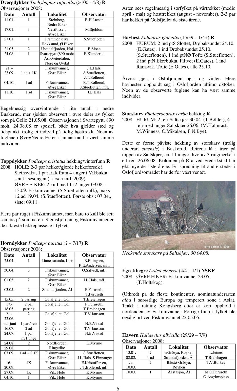 1 ad Fiskumvannet, B.T.Bollerud, 11.10. 1 ad Fiskumvannet, J.L.als Regelmessig overvintrende i lite antall i nedre Buskerud, mer sjelden observert i øvre deler av fylket som på Geilo 21.05.08.