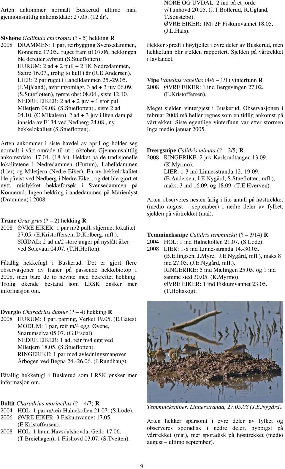 Mjåland), avbrutt/omlagt, 3 ad + 3 juv 06.09. (S.Stueflotten), første obs: 08.04., siste 12.10. NEDRE EIKER: 2 ad + 2 juv + 1 stor pull Miletjern 09.08. (S.Stueflotten)., siste 2 ad 04.10. (C.