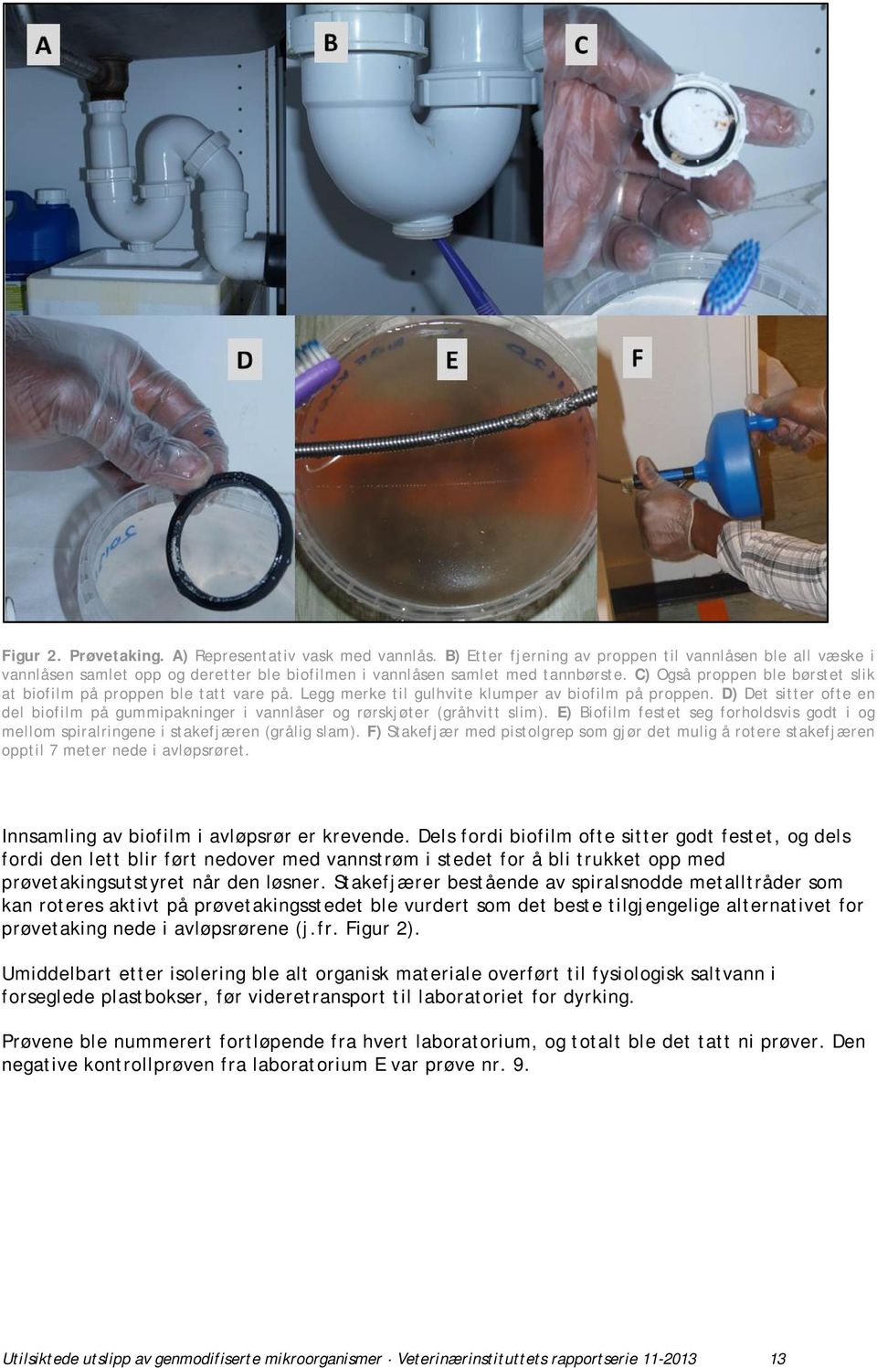 D) Det sitter ofte en del biofilm på gummipakninger i vannlåser og rørskjøter (gråhvitt slim). E) Biofilm festet seg forholdsvis godt i og mellom spiralringene i stakefjæren (grålig slam).