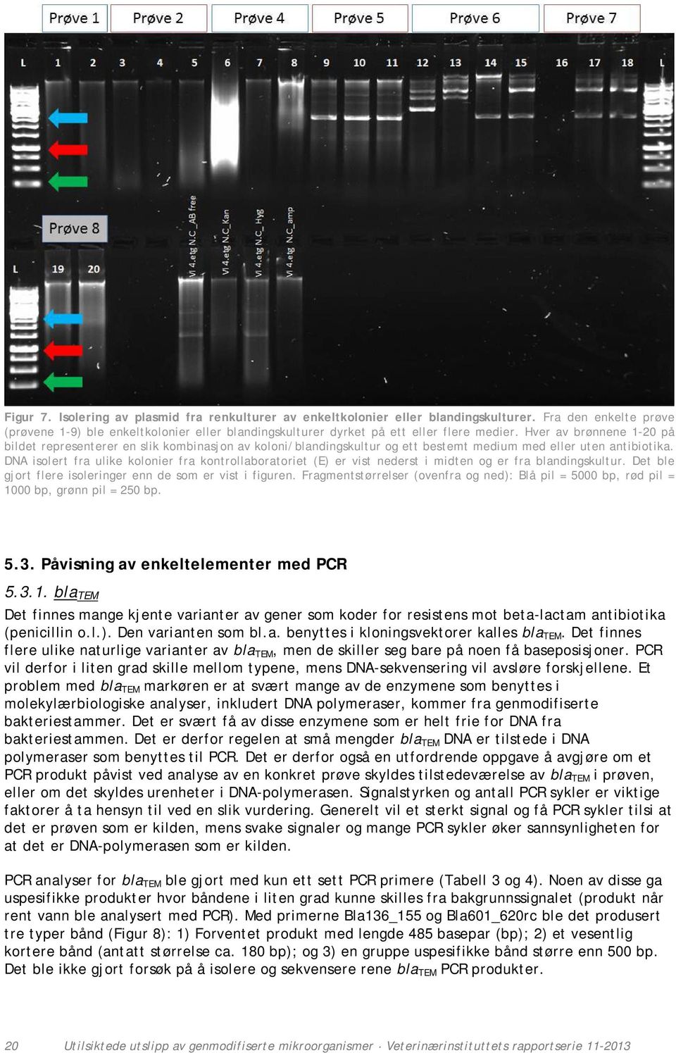 Hver av brønnene 1-20 på bildet representerer en slik kombinasjon av koloni/blandingskultur og ett bestemt medium med eller uten antibiotika.