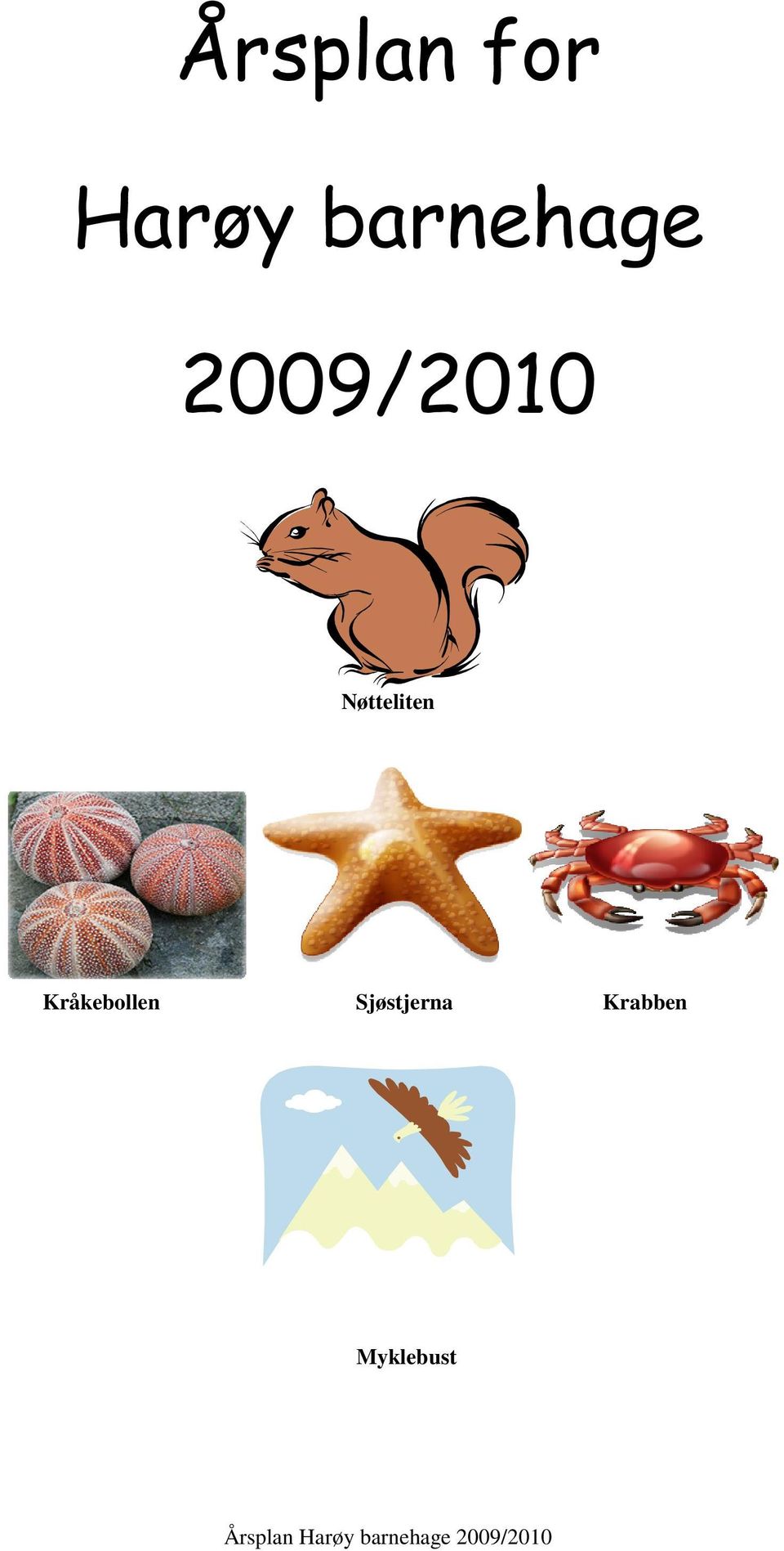 Kråkebollen Sjøstjerna Krabben