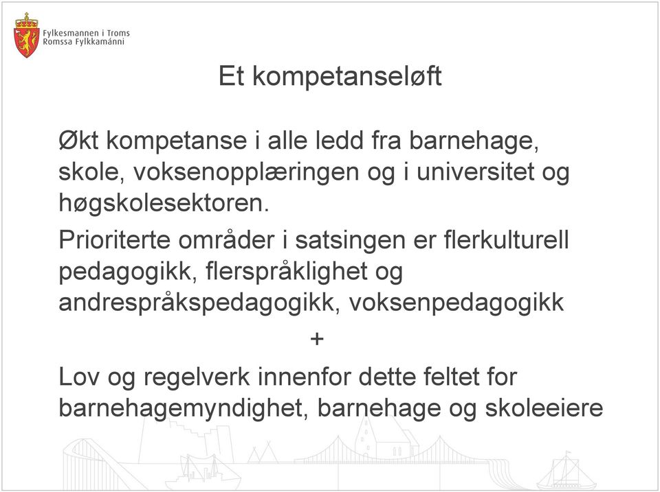 Prioriterte områder i satsingen er flerkulturell pedagogikk, flerspråklighet og