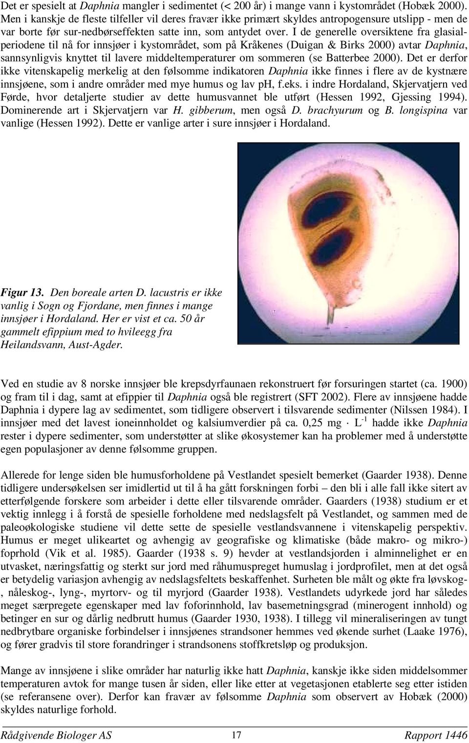 I de generelle oversiktene fra glasialperiodene til nå for innsjøer i kystområdet, som på Kråkenes (Duigan & Birks 2000) avtar Daphnia, sannsynligvis knyttet til lavere middeltemperaturer om sommeren