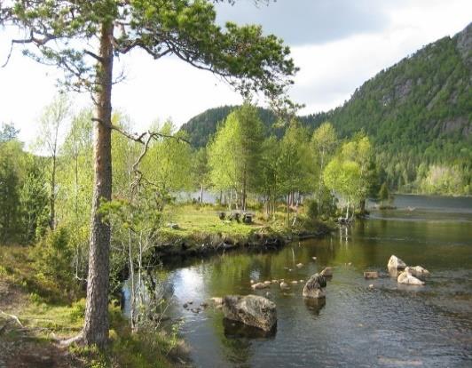 Turorienteringa 2014 Tur-O-rådet Marius Dalin Kjell Arne Hjellbrekke Steinar Lote leiar Ny vekst for turorienteringa i 2014?