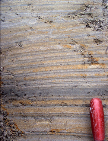 Figur 13. Detalj av sedimentene i utrast blokk ved lokalitet A01.