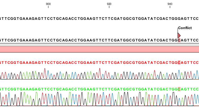 4. Resultater 4. Resultater 4.1 Seterettet mutagenese ChiA og ChiC måtte være inaktive for å kunne analysere bindingen til (GlcNAc) 6 med ITC.