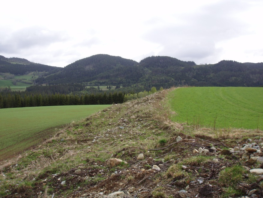 Etter at uttak av grusen er avsluttet, skal området planeres og tilbakeføres til jordbruksareal fulldyrka innmark.