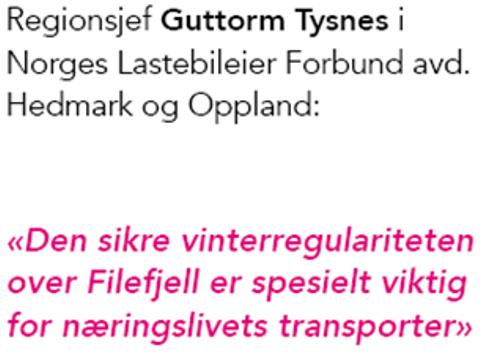 E16 SIDE 17 11. SYNSPUNKTER OG INNSPILL Både Oppland fylkeskommune og Hedmark fylkeskommune har i NTP prosessen prioritert E16 som en hovedforbindelse mellom Østlandet og Vestlandet.