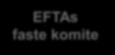 EFTAs råd EFTA-sekretariatet 3 funksjoner EFTAs faste komite Intra-EFTA EFTA-4 Geneve