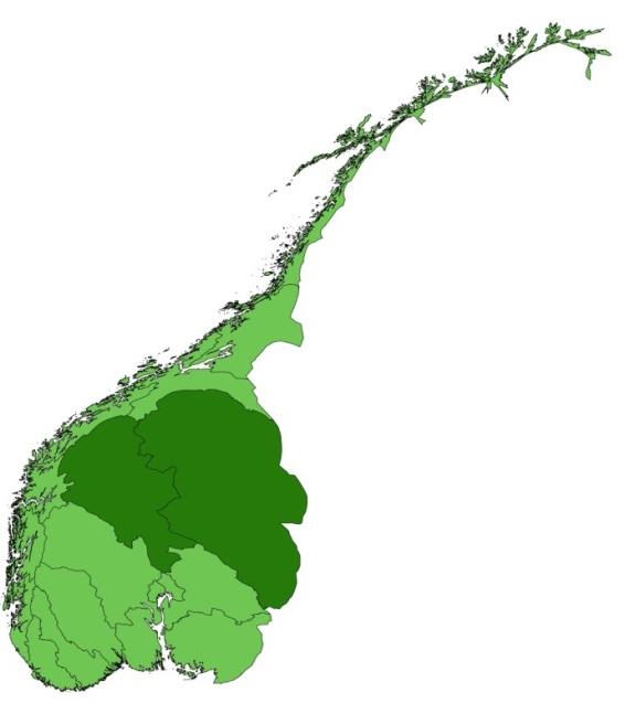 THE REGION: A «LIONS SHARE» OF FORESTRY RESOURCES IN NORWAY FORESTRY BIOENERGY WOODWORKING INDUSTRY REPRODUCTION & & BIOTECNOLOGY THE REGION: INTERNATIONALLY RENOWNED KNOWLEDGE ACTORS BIOECONOMY