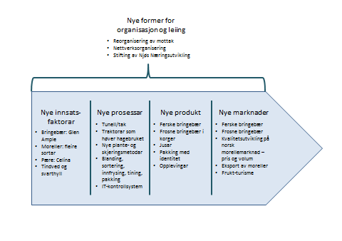 side 32 Døme Dersom innovasjon og utvikling er eit mål og tema for eit nettverk er det nødvendig å ha gjennomgåande merksemd på dette.