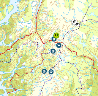 Side 6 av 9 oppfylte. Løyva kan nyttast i akutte skadesituasjonar for å hindre skade på bufe. Løyva gjeld for perioden 01.06.2016 15.02.2017.