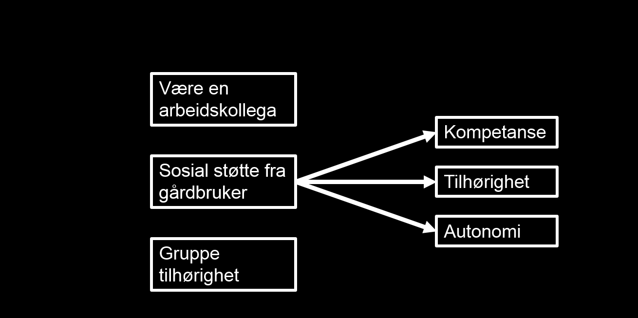 Resultater og diskusjon Gårdbruker = viktigste kilde til behovstilfredstillelse på gården Autonomistøttende person Gir valgfrihet Forståelse og annerkjennelse Oppriktig spesifikk pos.