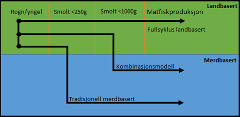 4 Nytt produksjonsregime - kombinasjon av land og sjø Som et ledd i arbeidet med å videreutvikle og forbedre næringen ble det fra myndighetene i 2011 gitt dispensasjon for påvekst av settefisk fram