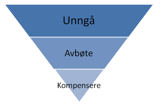 6.2.6 Avbøtende og kompenserende tiltak Det er en viktig oppgave for fagutreder å vurdere justeringer som reduserer negative virkninger 25. Fagutreder kan foreslå avbøtende eller kompenserende tiltak.