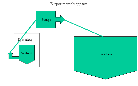 12 Figur 2. Eksperimentelt oppsett over testing av pumpesystem for utfôring av rotatorier til larvetanker.