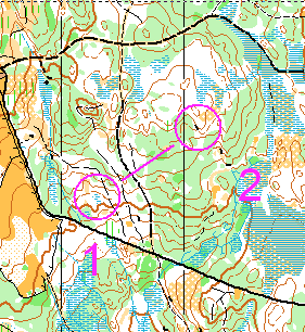 Kompass-strekk For å prøve o-løperne på alle ferdigheter, kan man godt legge inn rene kompasstrekk.